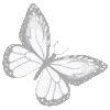 🦋