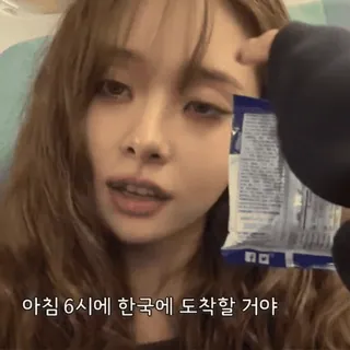 ⏳ 아침 6시에 한국에 도착할 거야 telegram sticker