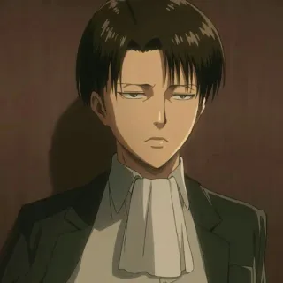 ⚔ Levi Ackerman Attack on Titan Anime, Sério, Soldado, Mangá, Personagem whatsapp sticker