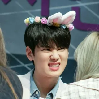 😛 carino, orecchie da coniglio, corona di fiori, kpop, idol telegram sticker