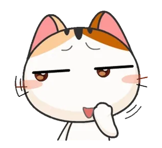 😄 kot, słodki, zwierzę, naklejka, śmieszne, kreskówka whatsapp sticker