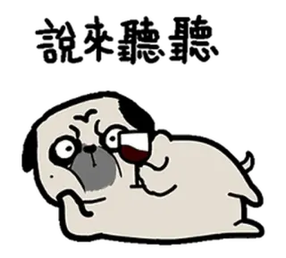 🍷 chó, chó pug, rượu vang, ly, rượu, hoạt hình, uống telegram sticker