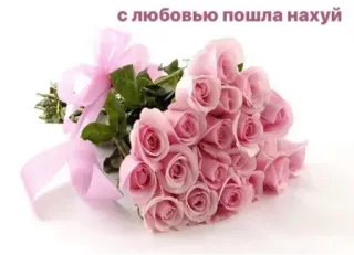 🌸 с любовью пошла нахуй hoa, hoa hồng, bó hoa, ngôn ngữ xúc phạm, màu hồng telegram sticker