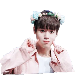 🤗 милый, мальчик, цветочный венок, k-pop, айдол whatsapp sticker