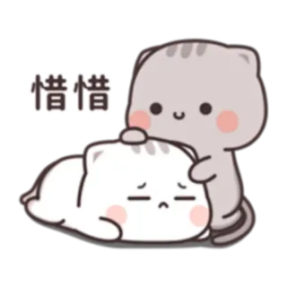 🤗 惜惜 cat, cute, sad, comforting, empathy telegram sticker