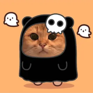 🌟 mèo, ma, rùng rợn, halloween, dễ thương, thú cưng, động vật, nhãn dán telegram sticker
