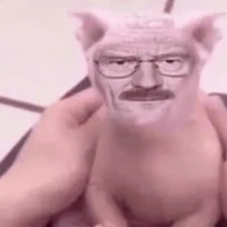 😼 Walter White Breaking Bad breaking bad, walter white, schwein, meme, lustig, serie whatsapp sticker