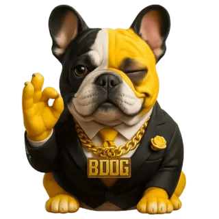 👌 BOOG Hund, Französische Bulldogge, Gold, Anzug, Ok Geste, Kette, Schmuck telegram sticker