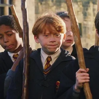 😀 Ron Weasley Harry Potter Ron Weasley, Harry Potter, estudiante, magia, mago, escuela whatsapp sticker