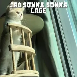 😔 JAG SUNNA SUNNA LAGE cat, meme, funny, animal, pet, cute telegram sticker