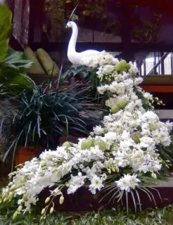 Flower Arrangements telegram stickers