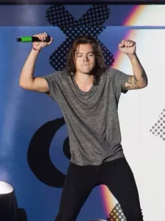 🐶 Harry Styles musician, singer, concert, performance, music, pop telegram sticker
