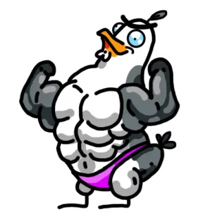 💪 การ์ตูน, นก, กล้าม, แข็งแรง, ตลก, ตลกขบขัน telegram sticker