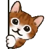 🐱