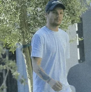 ⚽ Louis Tomlinson person, mann, promi, sänger, louis tomlinson telegram sticker