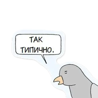 😙 ТАК ТИПИЧНО uccello, piccione, slang, tipico, frase telegram sticker
