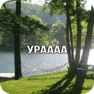 🥰 УРАААА 자연, 호수, 해먹, 나무, 야외 telegram sticker