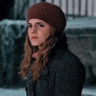 🦋 Hermione Granger Harry Potter harry potter, hermiona, granger, film, książka, czarodziej whatsapp sticker