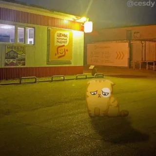 😞 ЦЕНЫ ГОРЯЧИЕ РАДУЮТ 猫, 卡通猫, 悲伤, 夜晚, 建筑物, 俄罗斯, 价格, 标志 telegram sticker