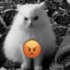 😡