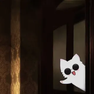 🐈 Katze, Tier, süß, Sonnenbrille, Tür, gucken telegram sticker