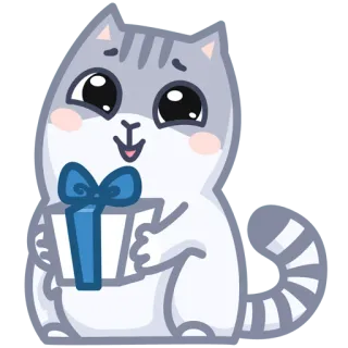 🎁 gato, gatinho, fofo, presente, lembrança, feliz telegram sticker