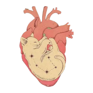 ✨ heart, cat, constellation, cute, animal, love telegram sticker