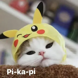 🙂 Pikachu Pokemon Pi-ka-pi chat, Pikachu, Pokemon, animé, mignon, animal, costume telegram sticker