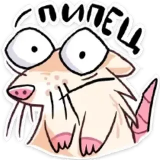 😦 Сасисель Dessin animé, Animal, Rat, Drôle, Meme, Mignon telegram sticker