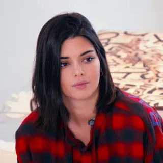 ✨ Kendall Jenner женщина, знаменитость, портрет, человек, модель, известная, брюнетка telegram sticker