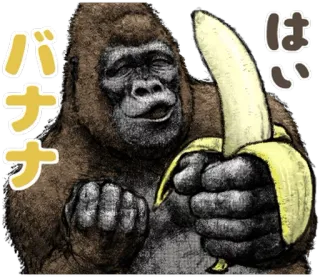 🍌 バナナ
はい горилла, банан, животное, обезьяна, фрукт whatsapp sticker