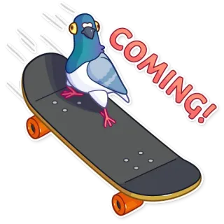 🏃 COMING! นกพิราบ, สเก็ตบอร์ด, นก, สัตว์, กำลังมา, การ์ตูน telegram sticker