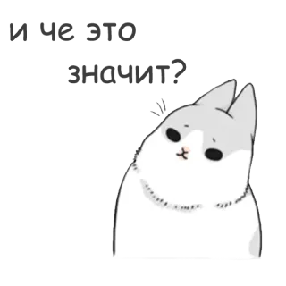 🙄 Huh? Whaaat? Katze, verwirrt, Meme, süß, Aufkleber telegram sticker