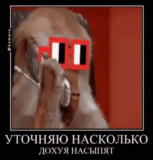 📞 УТОЧНЯЮ НАСКОЛЬКО ДОХУЯ НАСЫПЯТ 俚语, 俄语, 表情包, 搞笑, 表达, 眼镜 telegram sticker