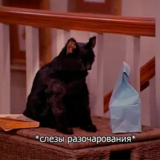 😣 *слезы разочарования* cat, disappointment, black cat, sad, tears, paper bag telegram sticker