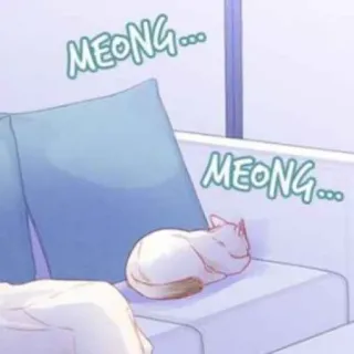 🌧 MEONG... gato, gatito, miau, durmiendo, lindo, animal telegram sticker