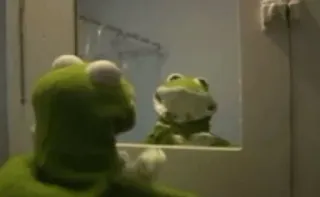 🧔 Kermit カエル, マペット, ミーム, カーミット, 鏡 telegram sticker