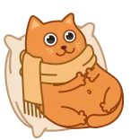 🦠 cat, middle finger, offensive gesture, pillow, scarf, animal whatsapp sticker