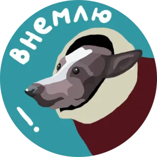 🤔 ВНЕМЛЮ! cachorro, adesivo, russo, atenção, animal telegram sticker