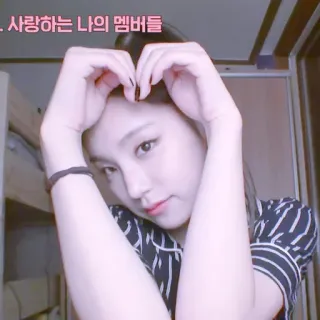 🌸 사랑하는 나의 멤버들 kpop, cœur avec les mains, célébrité, fille, amour telegram sticker