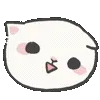 🐱