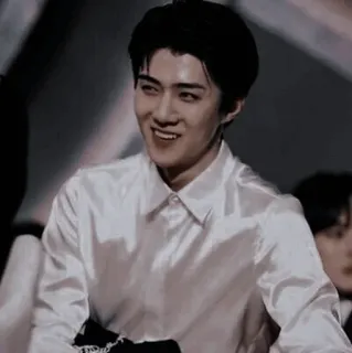 🕸 Sehun sehun, kpop, exo, idol, singer, portrait telegram sticker