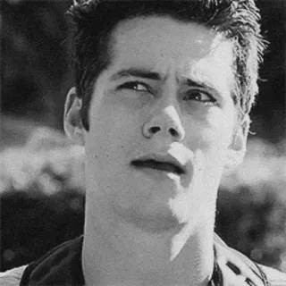 🖇 Dylan O'Brien dylan o'brien, acteur, portrait, teen wolf, mazerunner, célébrité, noir et blanc telegram sticker