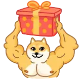 🎁 doge, hond, meme, cadeau, geschenk, gespierd whatsapp sticker