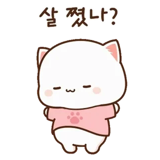 💬 살 쪘나? 猫, 可爱, 动物, 贴纸, 卡通 telegram sticker