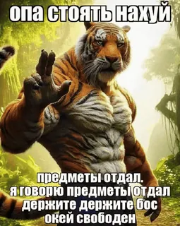 😶 опа стоять нахуй
предметы отдал.
Я говорю предметы отдал
Держите держите бос
окей свободен tigre, animal, offensant, mème, drôle telegram sticker