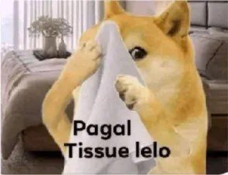 💦 Pagal Tissue lelo doge, chusteczka, mem, pagal, śmieszne whatsapp sticker