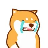 🥲 犬, 泣く, 悲しい, ミーム, 柴犬 whatsapp sticker