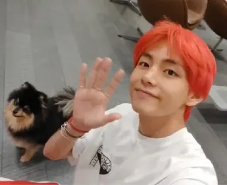 🐺 V K-pop, BTS, V, Kim Taehyung, Pomerania, cane, cantante telegram sticker