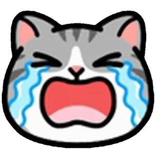 😭